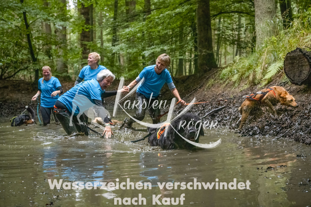 1145_ZZ91470-Bearbeitet-2 | kk-dogfotos