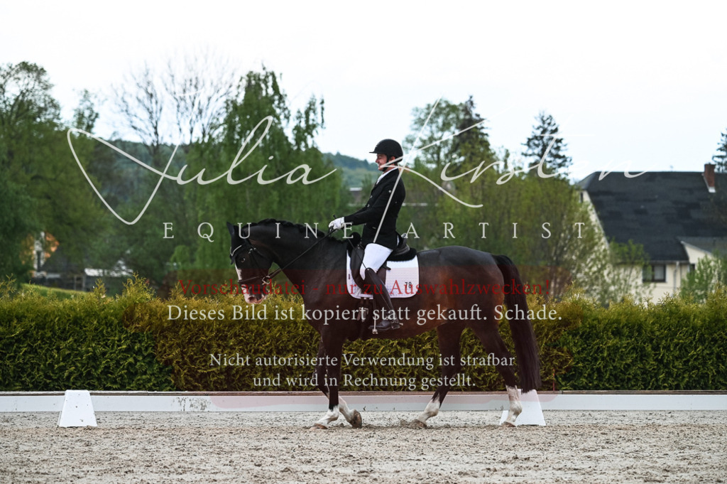 20230513_JK-Röhrsdorf-11-184 | Pferde- und Turnierfotografie in Westsachsen. Pferdeportraits, Auftragszeichnungen und intuitive Kunst.