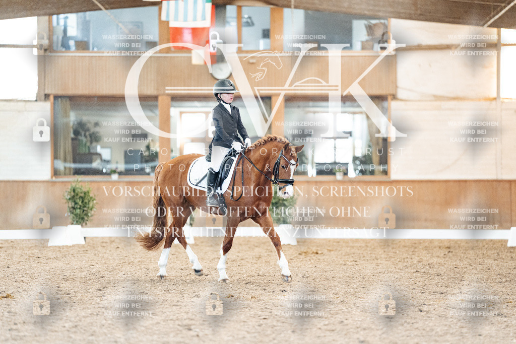 CK908151 | Turnierfotografie Pferdefotografie Trier Rheinland-Pfalz Pferdesport Reitsport Tierfotografie Sportfotografie Pferdevideo Pferdevideografie Equestrianvideography equestrianphotography  - Realisiert mit Pictrs.com