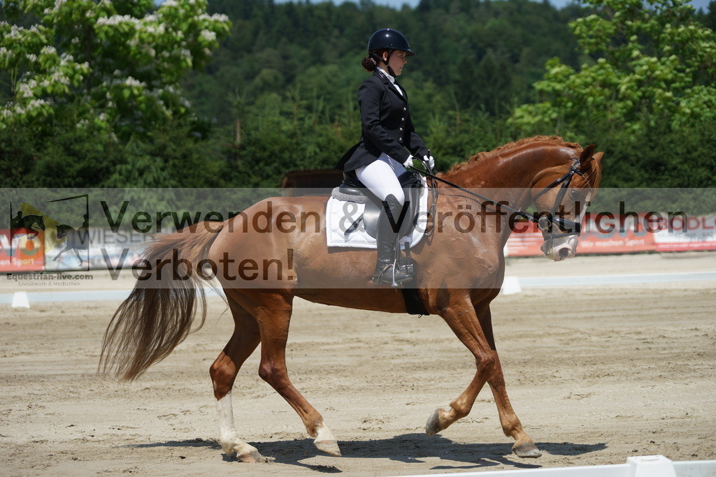 DSC04891 | equestrian-live-com