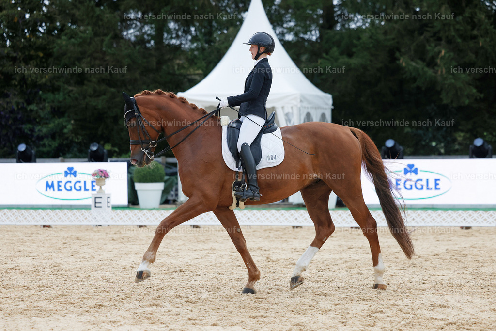 04_2-064-Dressur M__ -StoibPH-2986 | working equitationturnier fotograf videograf stoibphotography marixx film working equitation deutschland reitsport turnierfotografie eventfotografie equestrian events
