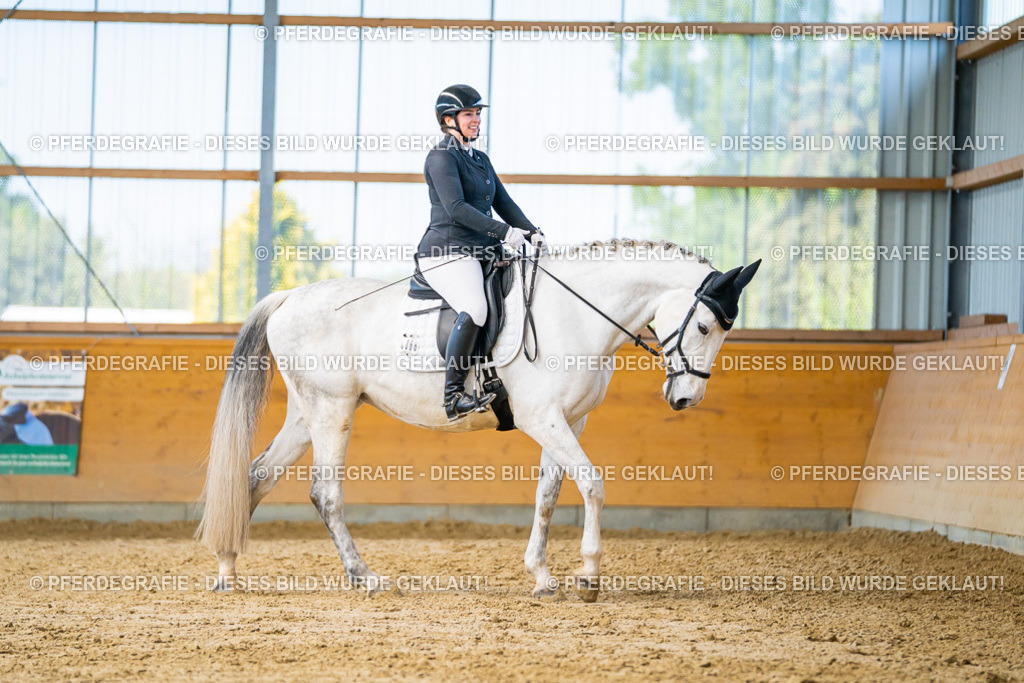 DSC07811 | Pferdegrafie