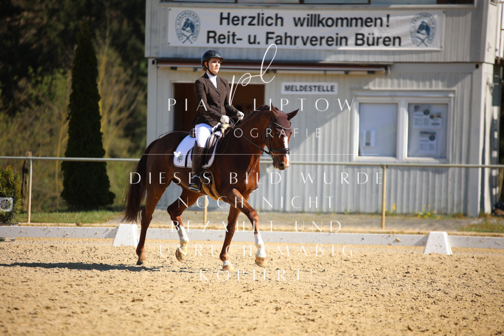 IMGT8587 | pl-fotografie