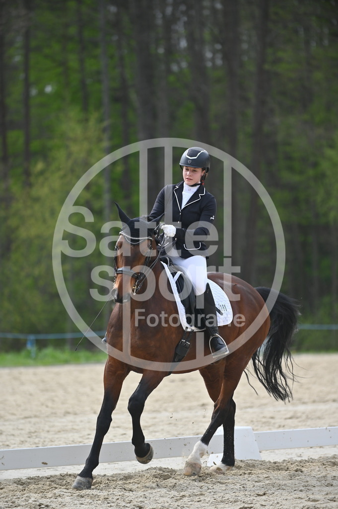 DSC_4992 | sattelsport - Realisiert mit Pictrs.com