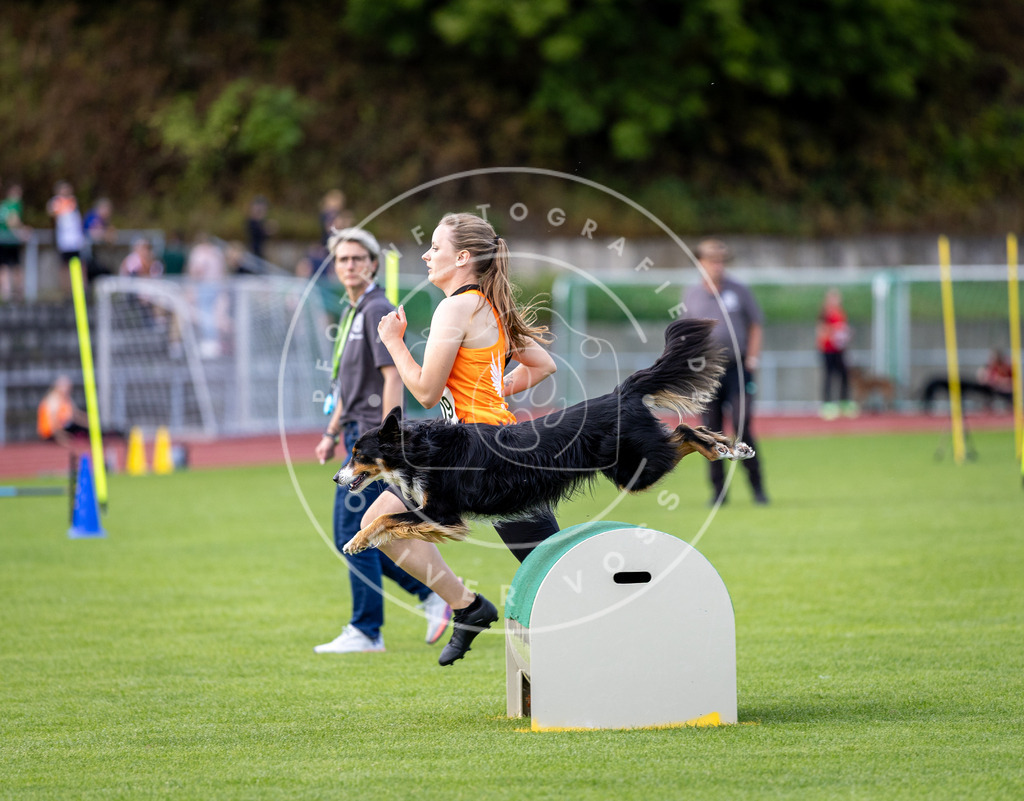 Pfotenfotografie_DV3A3246 | Hundefotografie, Tierfotograf, Pfotenfotografie, Fotoshooting Hund, Hunde Portrait, Hundesport, Hundeportraits, Heideshooting, Hunde, Sportfotograf, Hundefotograf, Turnierhundsport, THS,  - Realisiert mit Pictrs.com