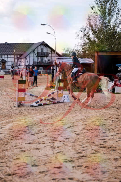 2026_10_03_Siefer-Hof_144518_Z81_20384115 | Professionelle Reitsport-, Turnier- und Eventfotografie von Robert Broda. Galerien mit ausgewählten und bearbeiteten Bildern direkt online ansehen und bestellen.