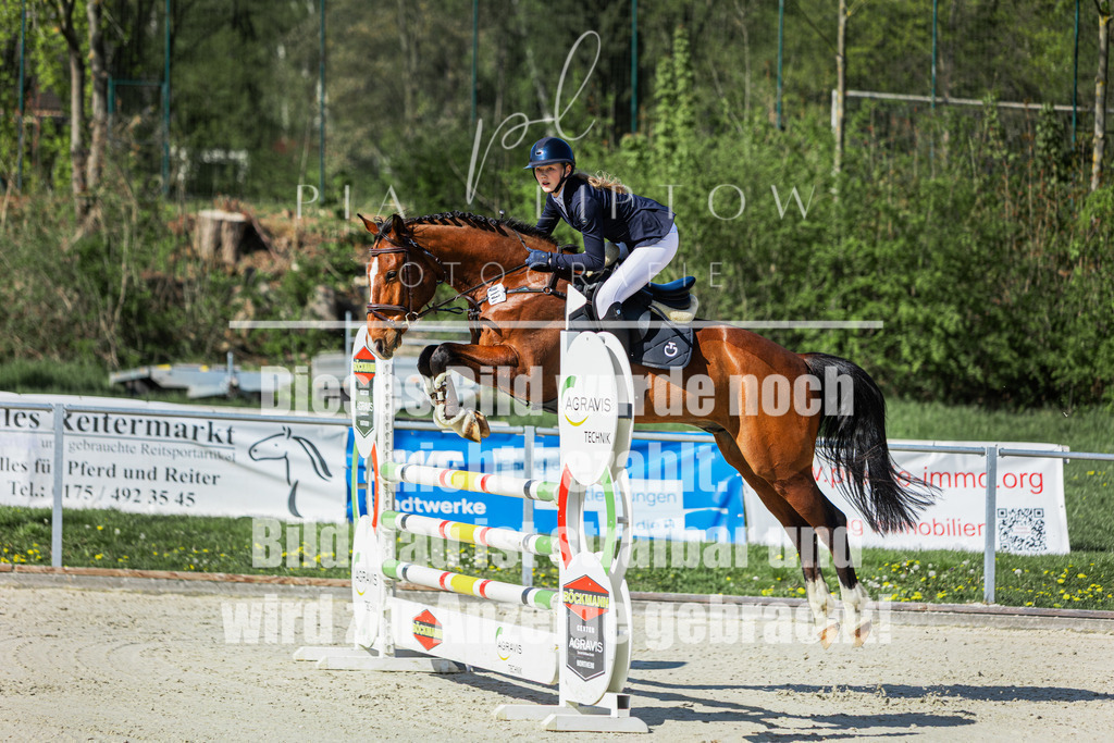 IMGM2385 | pl-fotografie