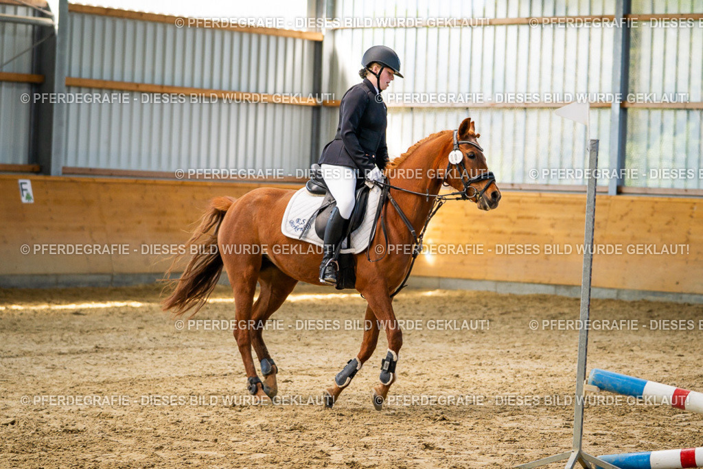 DSC01441 | Pferdegrafie