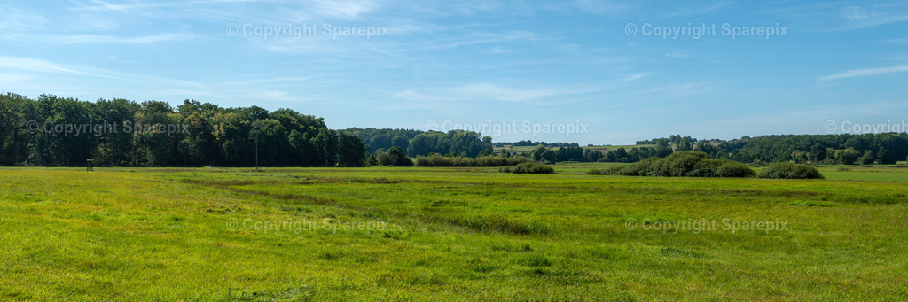 PAN_Outlook_Summer_Meadow5 | sparepix - Realisiert mit Pictrs.com