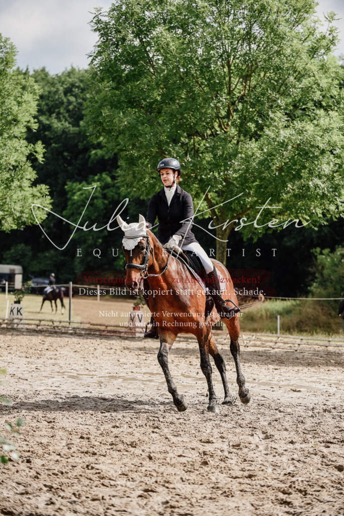 DSC_9833 | Pferde- und Turnierfotografie in Westsachsen. Pferdeportraits, Auftragszeichnungen und intuitive Kunst.