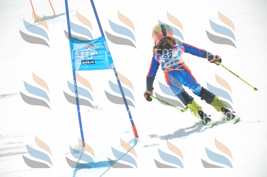 _ELE5692 | holidayphoto