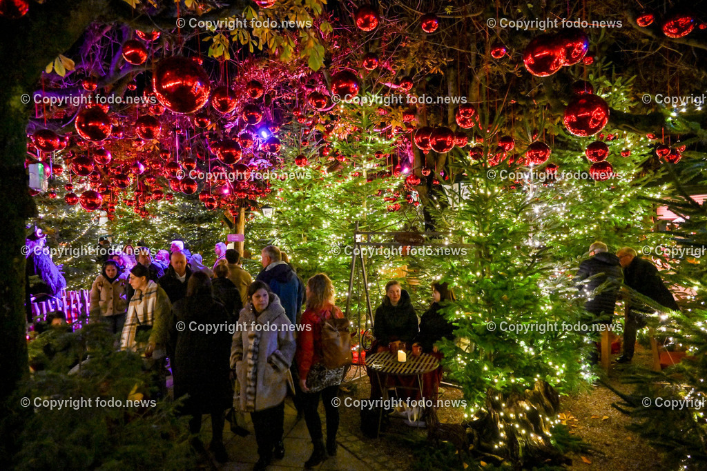 Weihnachtsmarkt_ Linz_ 22.11.2023-29 | 22.11.2023, Linz, AUT, Klosterhof, im Bild Winterzauber, Weihnachtsmarkt, Winterwald, Besucher, Tradition, Brauchtum, Beleuchtung, Tannen, Baume, Speisen, Getraenke