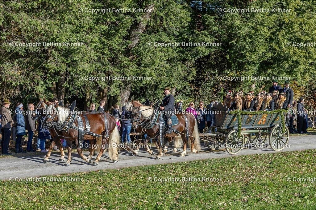 LBT25-565 | foto-bettina-krinner - Realisiert mit Pictrs.com