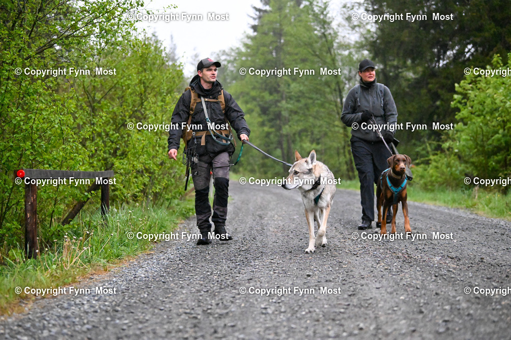 DSC_9611 | Hallo und herzlich Willkommen auf meiner Shop-Seite Fynn Most.

Ich wünsche Dir viel Spaß beim stöbern durch die Bilder, wenn Du Fragen hast oder Bilder vermisst, kannst du mir gerne eine Nachricht schreiben. - Realisiert mit Pictrs.com