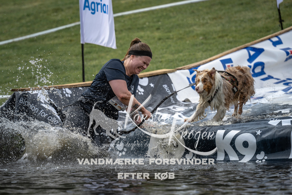 1546_ZZ96568 | kk-dogfotos