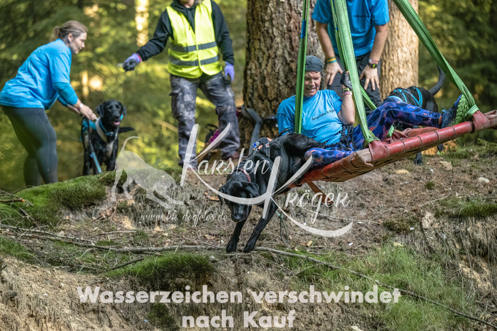 0933_ZZ91133-Bearbeitet | kk-dogfotos