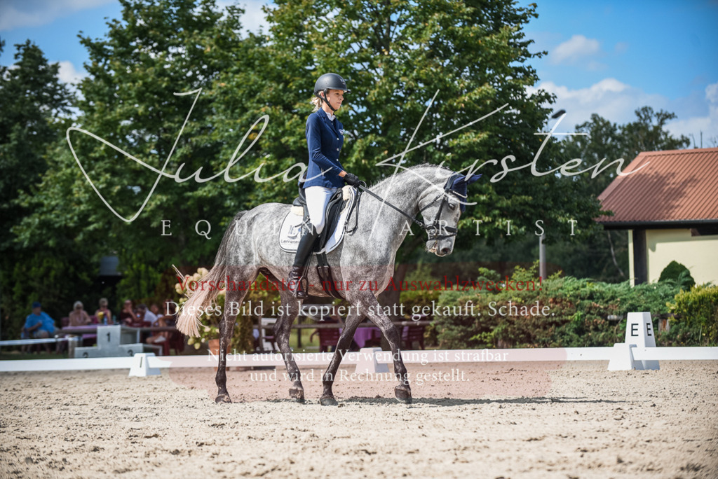 DSC_9254 | Pferde- und Turnierfotografie in Westsachsen. Pferdeportraits, Auftragszeichnungen und intuitive Kunst.