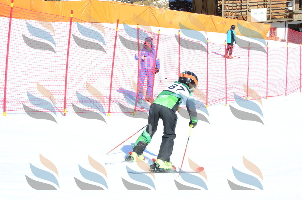 C5657 | holidayphoto