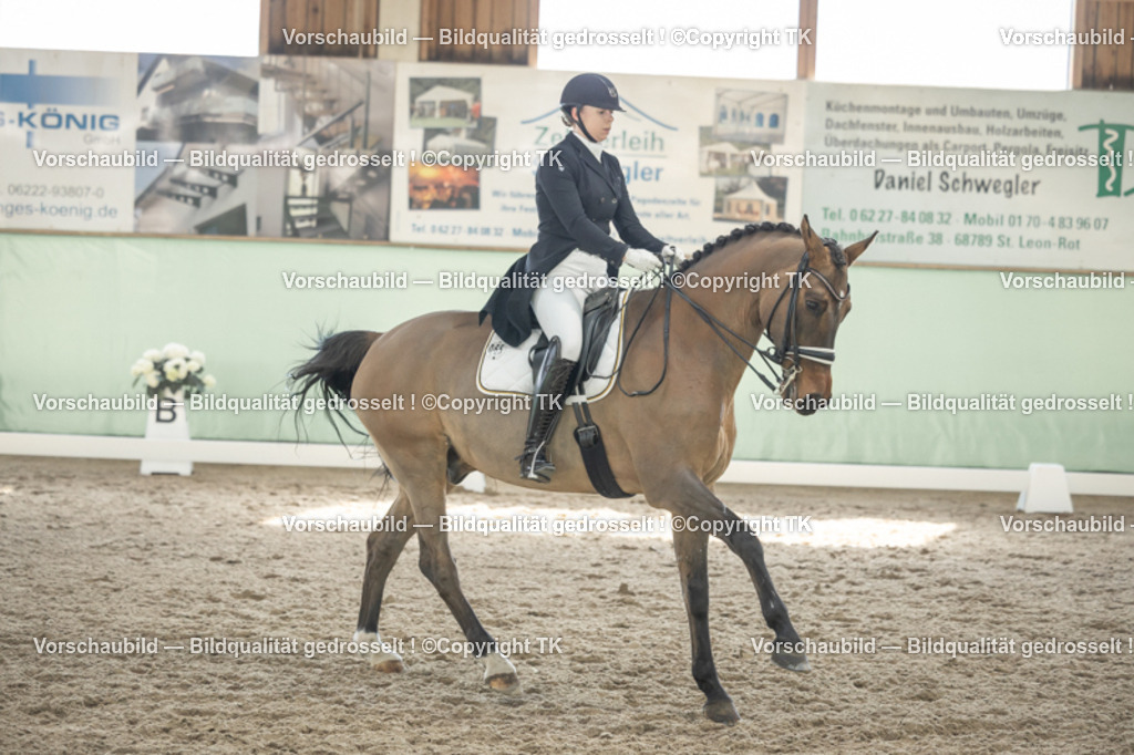 _D5A2332 | Emotionale Pferde- & People-Fotografie rund um Heidelberg, Leimen & Umgebung. Natürliche Fotos von Pferd, Mensch & Familie. Jetzt Termin sichern!