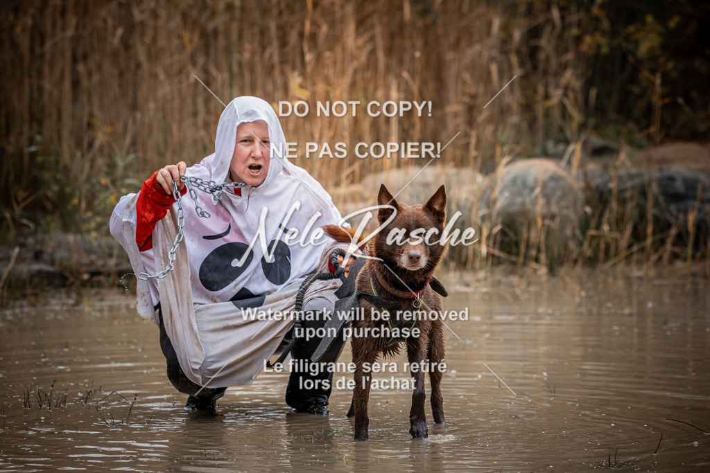 nelerasche_Creepy2025_So1000-1100_178 | nelerasche