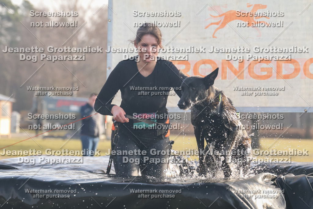 Dog Paparazzi - SD North 0326 900930-110 | Dog Paparazzi Jeanette Grottendiek Fotografie & Videografie - Realisiert mit Pictrs.com