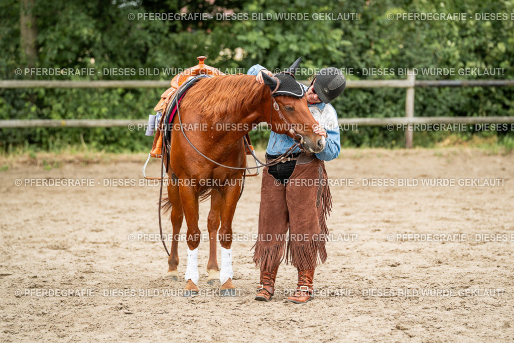 DSC03664 | Pferdegrafie