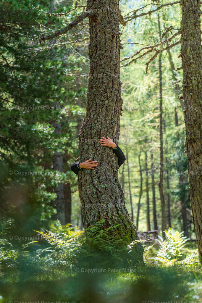 Dorfertal_Erlebnisraum_Wald_23_Peter_Maier-1978 | piet_flosse