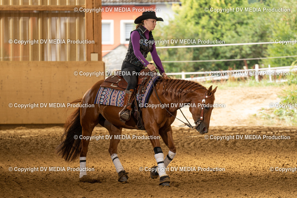 LAU01362 | dv-media-shop - Realisiert mit Pictrs.com