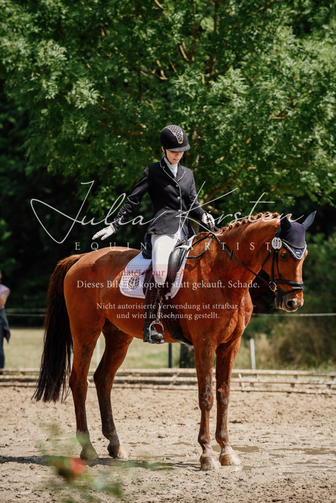 DSC_1528 | Pferde- und Turnierfotografie in Westsachsen. Pferdeportraits, Auftragszeichnungen und intuitive Kunst.