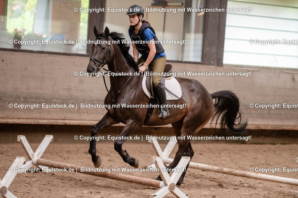20250725_Vielseitigkeitslehrgang-Marbach_0024 | Foto: Thomas Hartig