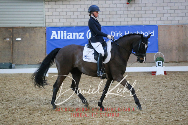 IMG_2670 | Turnierfotos kaufen im Webshop von Daniel Kuhl Photography – entdecke professionelle Reitsportfotos aus Turnieren & Events. Hochwertige Turnierbilder online bestellen & sichern. Jetzt Fotos von Reitsportturnieren kaufen!