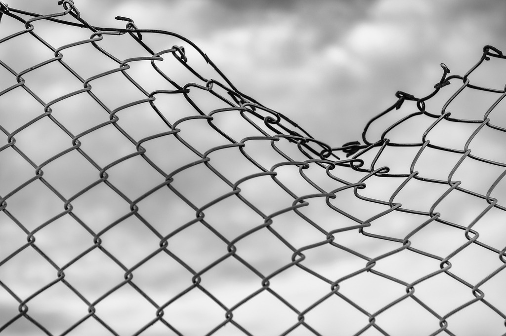 2024_01_20_HH-ELBINSEL-KALTEHOFE_MCP6373 sw_01 | Hochwertig gedruckte Fotografien für die Wand, als Kalender und zum Verschenken. Hamburg & Norddeutschland und überall wo ich mit der Kamera unterwegs war.