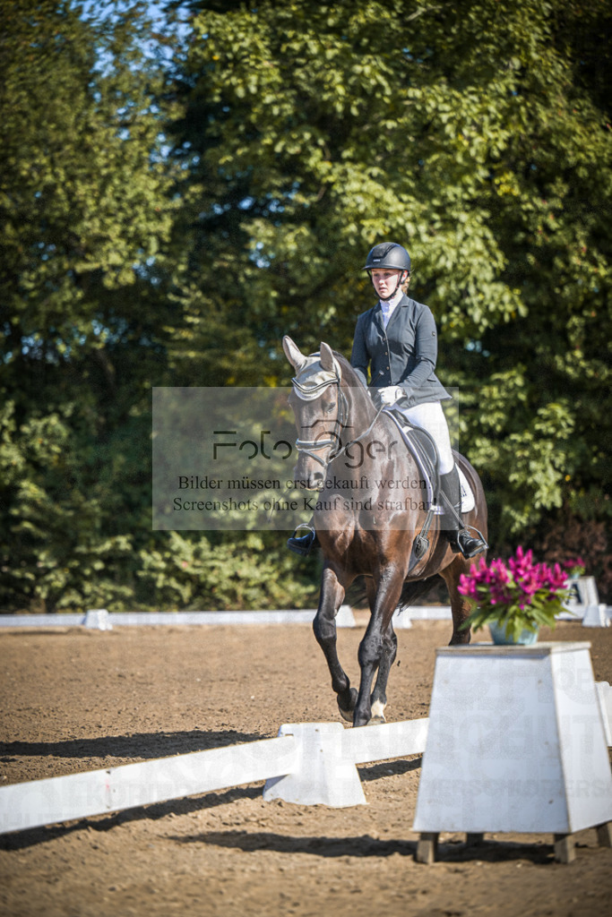 DOS_2470 | Entdecke hochwertige Reitturnierfotos von Foto Oger. Professionell, emotional und authentisch – jetzt Lieblingsmomente im Shop bestellen.Deutschlandweite Turnierfotografie. - Realisiert mit Pictrs.com
