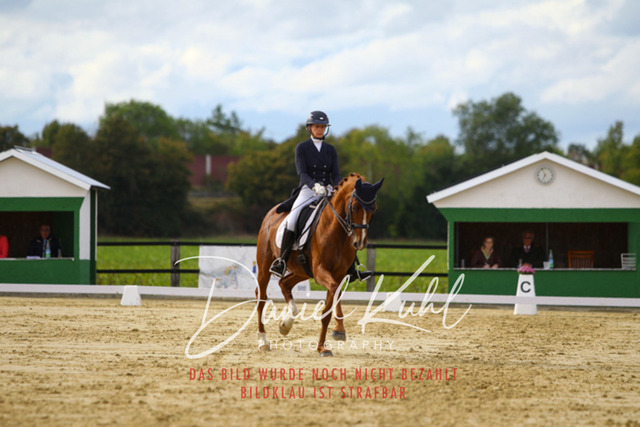 DKP44559 | Turniersportfotografie; Pferdefotografie; Dressurfotografie