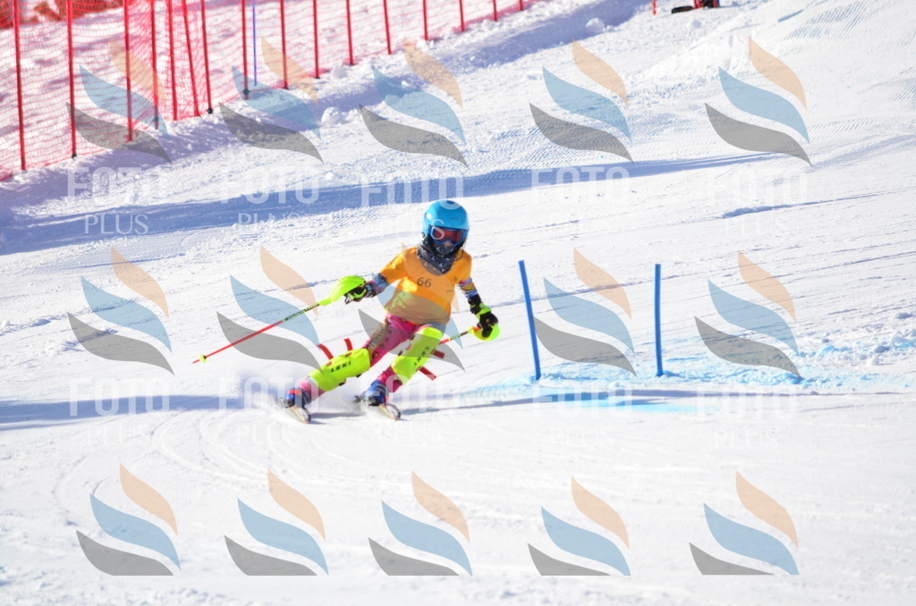 C5829 | holidayphoto