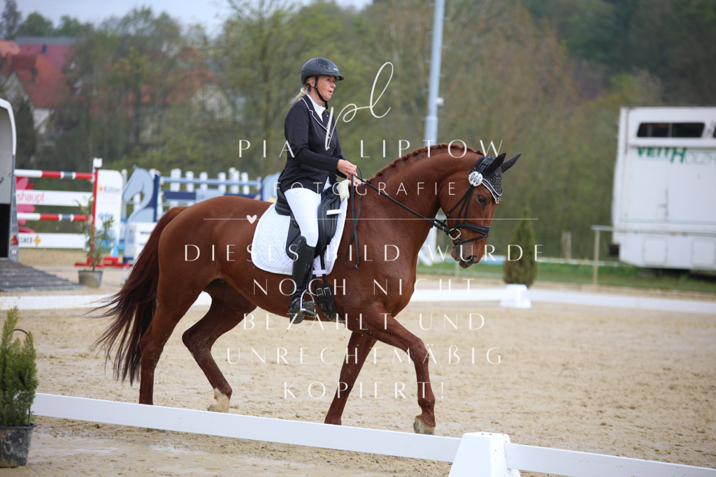 IMGT5162 | pl-fotografie