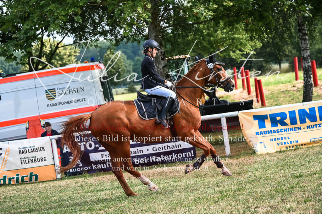 DSC_7950 | Pferde- und Turnierfotografie in Westsachsen. Pferdeportraits, Auftragszeichnungen und intuitive Kunst.