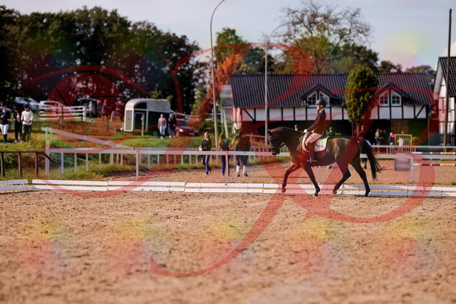 2026_10_03_Siefer-Hof_130850_Z81_62028343 | Professionelle Reitsport-, Turnier- und Eventfotografie von Robert Broda. Galerien mit ausgewählten und bearbeiteten Bildern direkt online ansehen und bestellen.