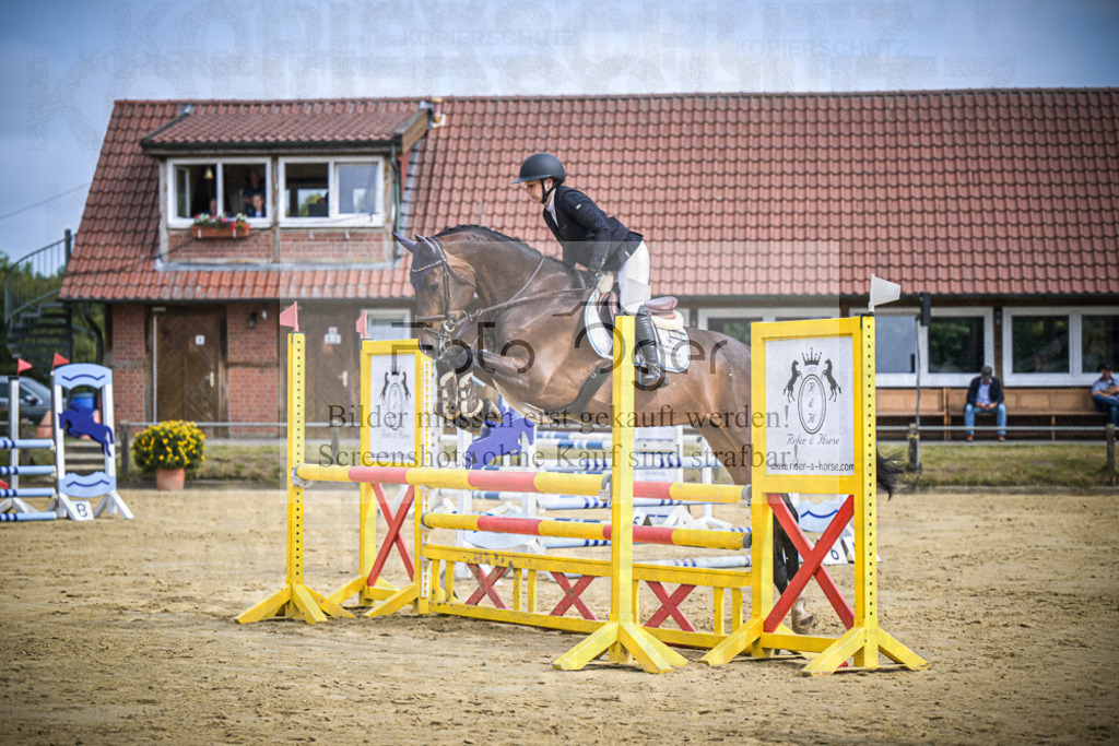 DOS_4954 | Entdecke hochwertige Reitturnierfotos von Foto Oger. Professionell, emotional und authentisch – jetzt Lieblingsmomente im Shop bestellen.Deutschlandweite Turnierfotografie. - Realisiert mit Pictrs.com