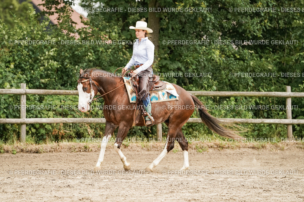 DSC09135 | Pferdegrafie