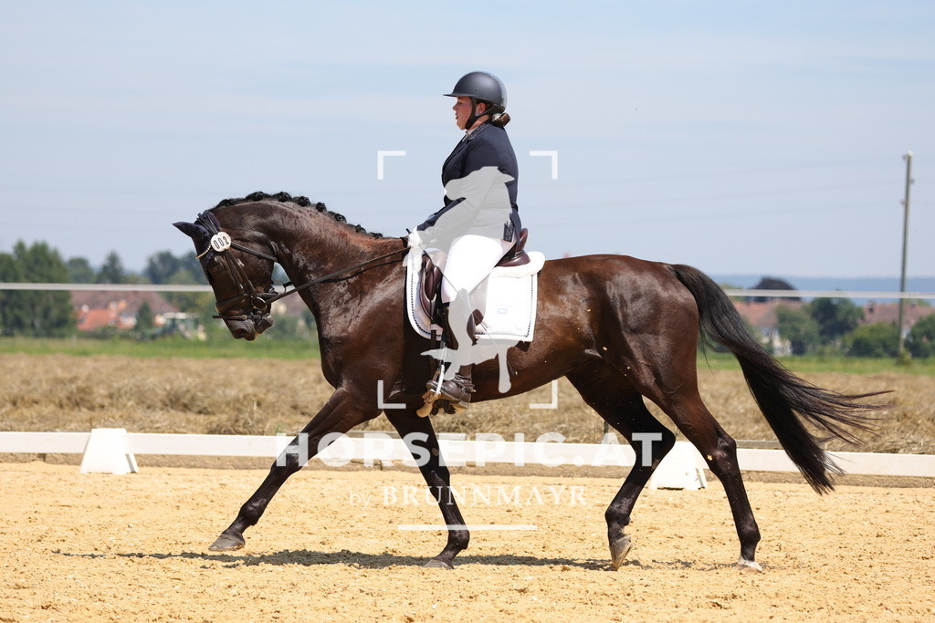 0P6A0285 | Willkommen bei Brunnmayr - Design & Fotografie – Ihrem Spezialisten für Reitturniere und Pferdeveranstaltungen in Oberösterreich, Salzburg und Bayern! Seit über 17 Jahren sind wir leidenschaftlich dabei.