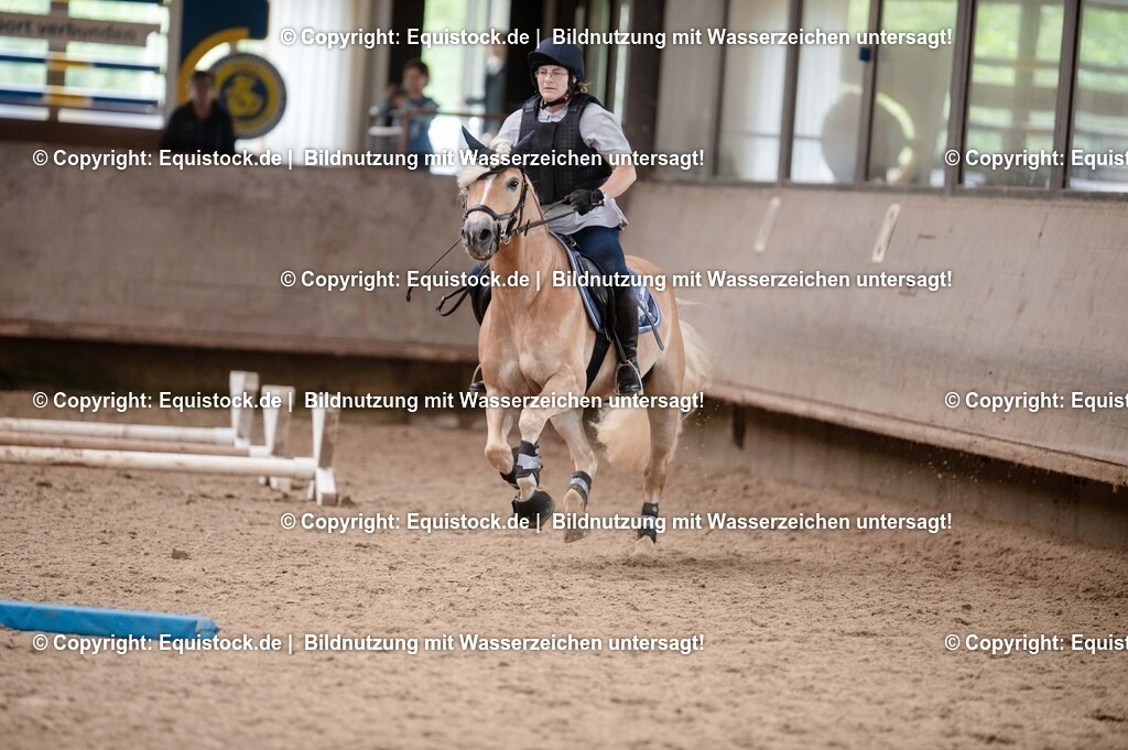 20250725_Vielseitigkeitslehrgang-Marbach_0475 | Foto: Thomas Hartig