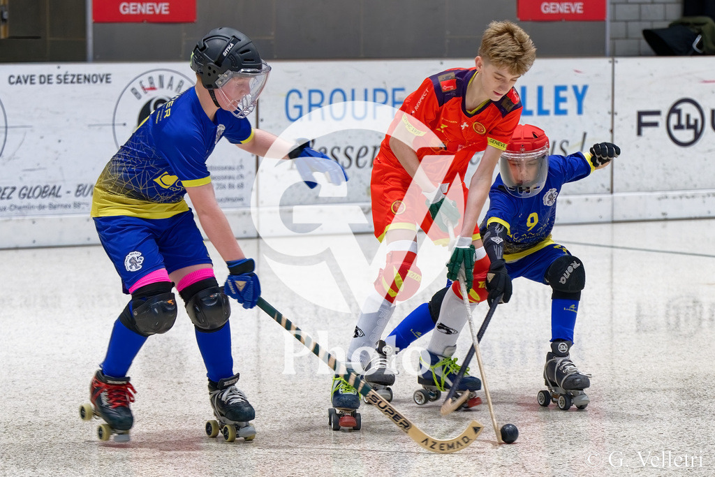 DZ8_3732 | Velletri Photo