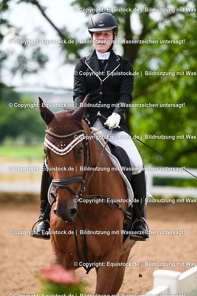 20230716_10-1_Reiter-WB Schritt - Trab - Galopp_0107 | equistock