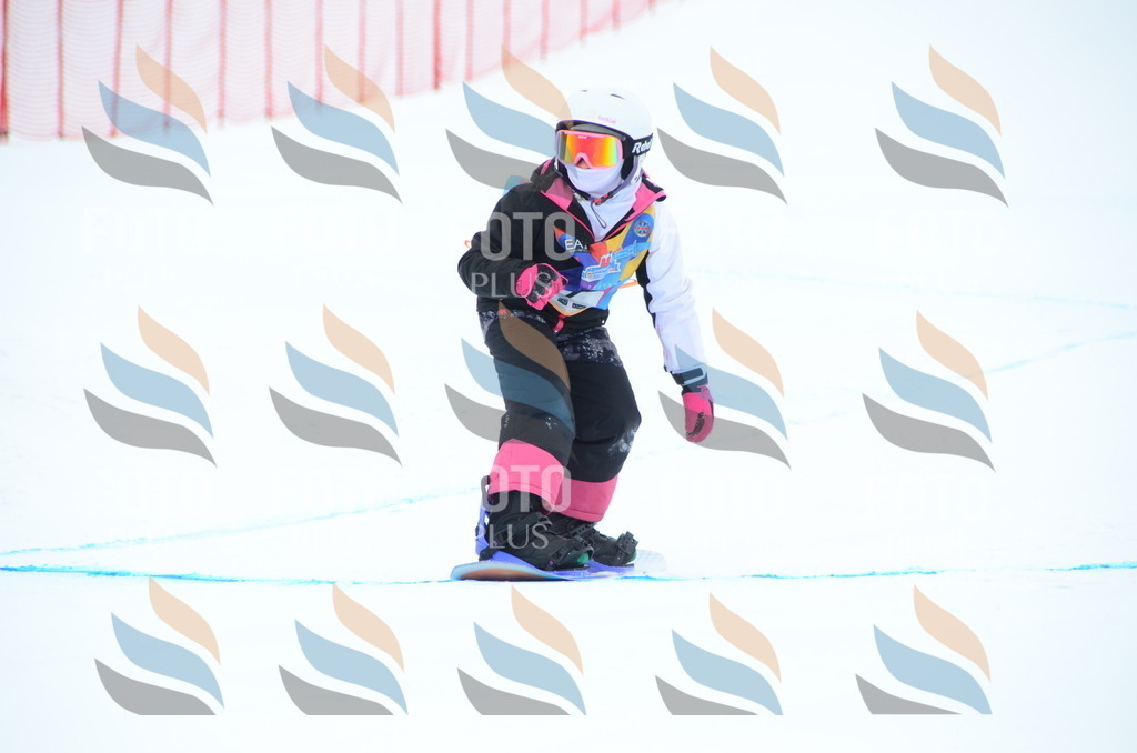 DSC_2020 | holidayphoto