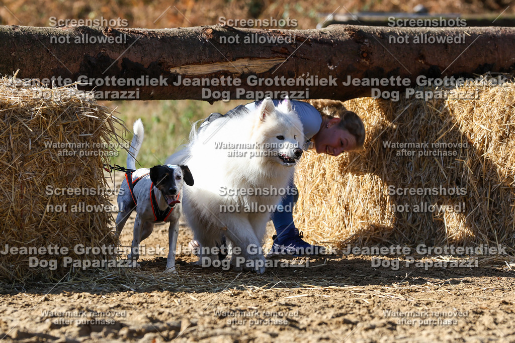 Dog Paparazzi - Strongdog 10-25-2959 | Dog Paparazzi Jeanette Grottendiek Fotografie & Videografie - Realisiert mit Pictrs.com