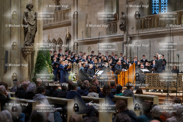 TAM25_K.01__Michael-Vogl_050_3769 | Tage Alter Musik Regensburg K.00 Dom St. Peter Regensburger Domspatzen La Cetra Basel (Schweiz) 1050 Jahre Regensburger Domspatzen 500. Geburtstag Giovanni Pierluigi da Palestrina Leitung Christian Heiß Foto: Michael Vogl