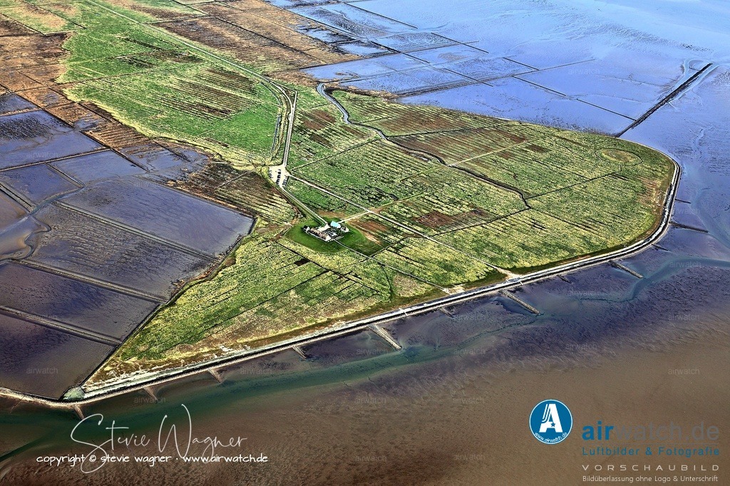 Die Salzwiesen der Hamburger Hallig - ein Extremlebensraum - Luftbild | Die Salzwiesen – ein Extremlebensraum - Die Salzwiesen der Hamburger Hallig ist weltweit einzigartig in ihrer Zusammensetzung und Größe. Man unterscheidet drei Vegetationszonen nach Überflutungshäufigkeit