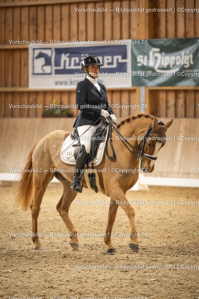 _D5A3475 | Emotionale Pferde- & People-Fotografie rund um Heidelberg, Leimen & Umgebung. Natürliche Fotos von Pferd, Mensch & Familie. Jetzt Termin sichern!