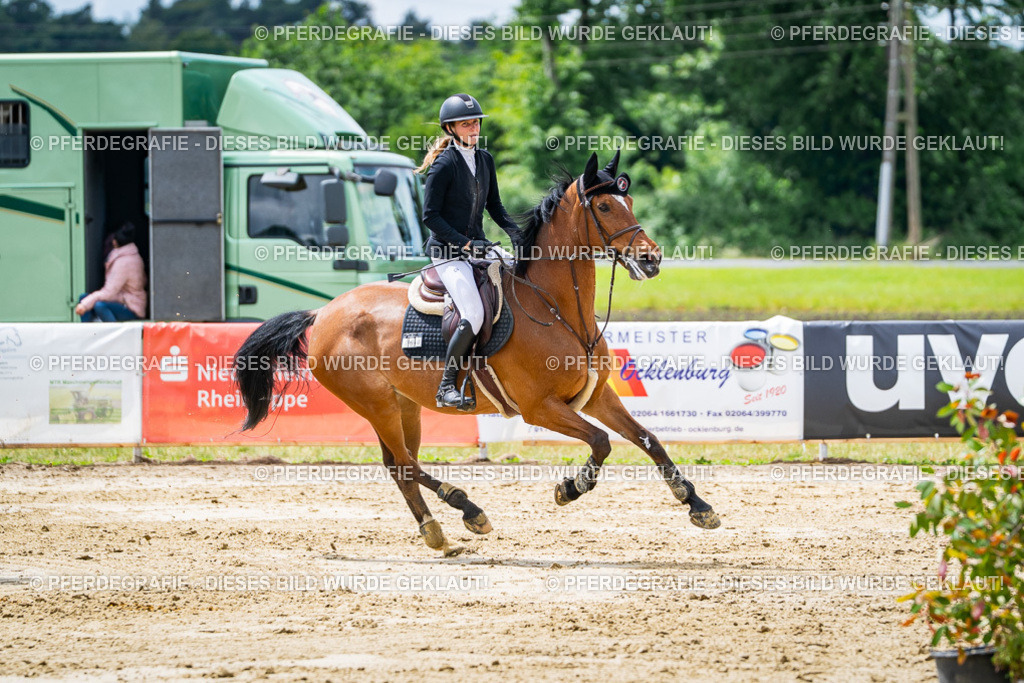 DSC04813 | Pferdegrafie